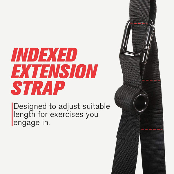 Suspension Straps with Door Anchors | RitFit